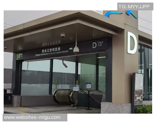 成都飞盘队的运营揭秘与发展探索深度解析