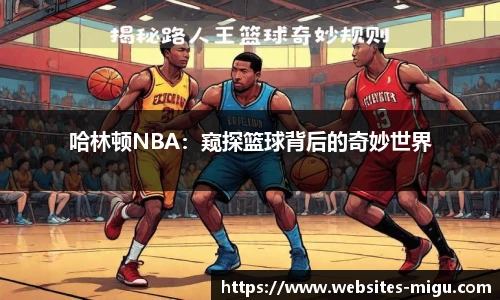 哈林顿NBA：窥探篮球背后的奇妙世界