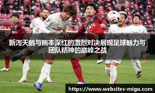 新泻天鹅与熊本深红的激烈对决展现足球魅力与团队精神的巅峰之战